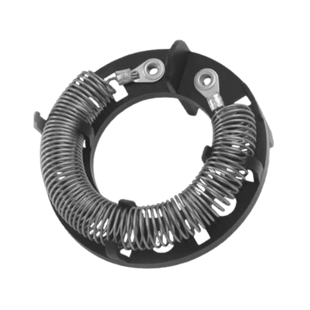 RESISTENCIA DUCHA 110V